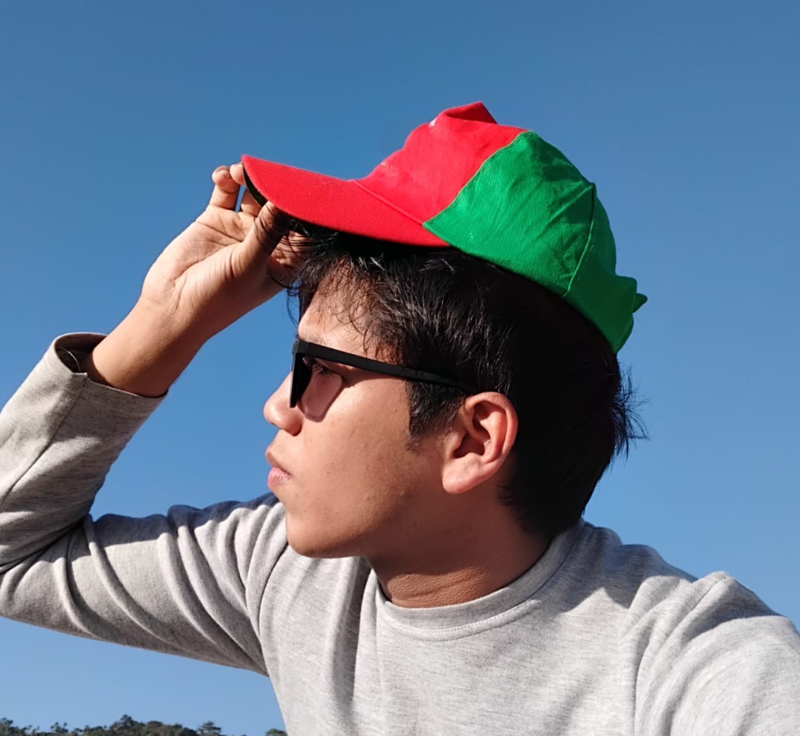 Profile Picture of showmik